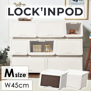 [Sipt5{!HptAbvLy[10/31 2359܂] tbv [{bNX 45 tbv{bNX [BOX OJ X^bLO ςݏd XgbJ[ ߗގ[