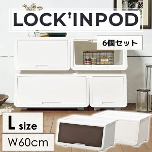 [Sipt5{!HptAbvLy[10/31 2359܂] 6Zbg tbv [{bNX 60 tbv{bNX [BOX OJ X^bLO ςݏd XgbJ[ ߗގ[