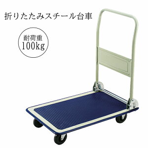  ܂肽 ω׏d100kg X`[