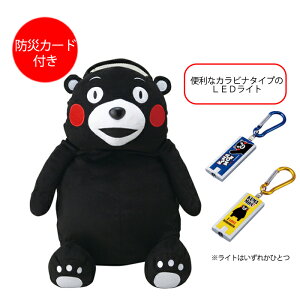 [Sipt5{!HptAbvLy[10/31 2359܂] 펝o ܃̔펝obN@bN̂ Cgt hЗpbN hЃJ[h ܃