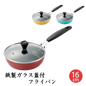 [N[|zzpt5{!ubNtCf[11271:59܂] tCp 16cm IHΉ S KXWt ӂfH  uߓ Op y ٓ S⋋ 