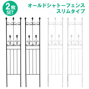 [pt5{!11/11`11/20 19:59] K[ftFX 156cm [^Cv X 2g tFX ACA K[fjO g  d؂ NVJ AeB[N  KN o  | eBX gX