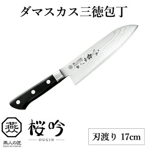 [yVX[p[SALEpt10{N[|] { O 17cm _}XJX O Ƃ  \  Mtg i  Lb` v[g