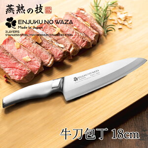 [yVX[p[SALEpt10{N[|] 180mm  XeX ʕiCt  Lb`pi 蕨 Mtg { n̋Z