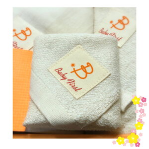 BabyFirst@K[[nh^I(2g)i100jɗDw񂵂xV[Y