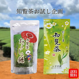 【1000円ポッキリ】 知覧茶 お楽しみ セット お試し 知覧茶 深蒸し茶 煎茶 茶葉 旨味 甘味 かごしま茶 ぽっきり祭 送料無料 メール便配送 産地直送 工場直売 宮原園 産直