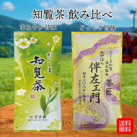 知覧茶 2種 飲み比べ セット 200g 100g×2 知覧茶 深蒸し茶 鹿児島 日本茶 煎茶 茶葉 旨味 うまみ 甘味 かごしま茶 メール便発送 送料無料 産地直送 工場直売 宮原園 産直