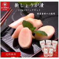 【新物入荷！】［送料無料］新しょうが漬 110g×5パックセット 国産 群馬県 高崎市 手作り 老舗 漬物 甘…