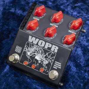 Thorpy FX/WOPR�y�����݌ɓ����I�z