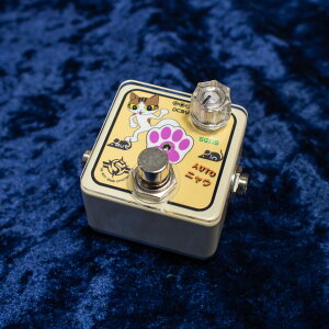 THE NEXT SOUND/CH-05 AUTO�j���E