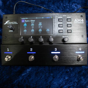 FRACTAL AUDIO SYSTEMS/AM4