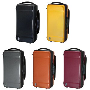 bags obOX gybg t[Qz _uP[X EF2TRFH METALLIC COLOR