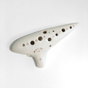 AKETA AP^ IJi RT-5C(AgC) yv[g ^yz NX}X v[g