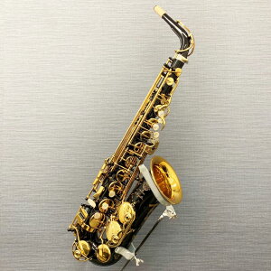 ݌ɗL Z}[ AgTbNX Signature VOl`[ ubNbJ[dグ SELMER Ǌy