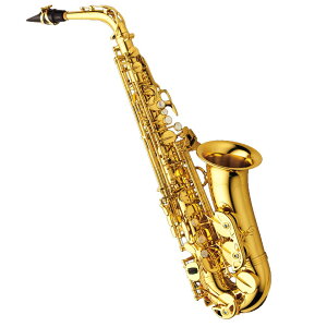 ݌ɗL iMT AgTbNX A-WO1 Yanagisawa [Ǌy]