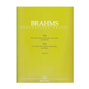 yyyzzOdtȕσz op. 40isAmȁuAȍivt