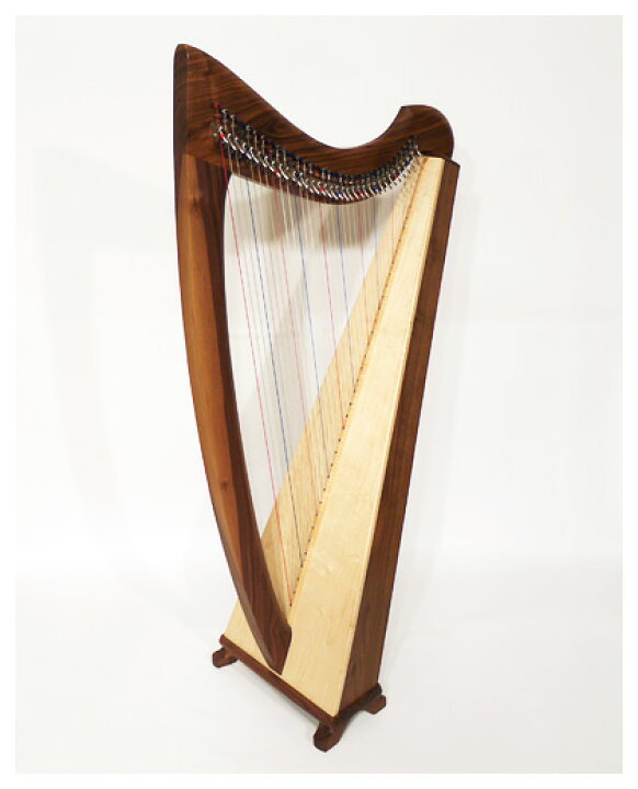 楽天市場 トリプレット社 アイリッシュハープ Sierra34 シエラ34 Maple 小金井店ショールーム取扱商品 宮地楽器 ららぽーと立川立飛店