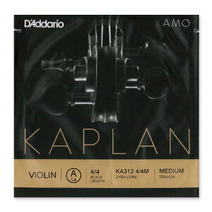 ���@�C�I������ Kaplan AMO�i�J�v���� �A���j A��