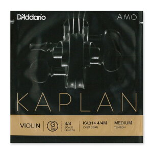 ���@�C�I������ Kaplan AMO�i�J�v���� �A���j G��