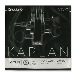 ���@�C�I������ Kaplan VIVO�i�J�v���� ���B�{�j A��
