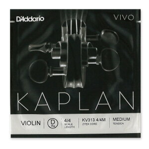 ���@�C�I������ Kaplan VIVO�i�J�v���� ���B�{�j D��