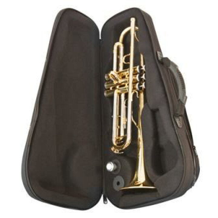 楽天市場】bags バッグス トランペット ケース メタリックグレー EFTR 