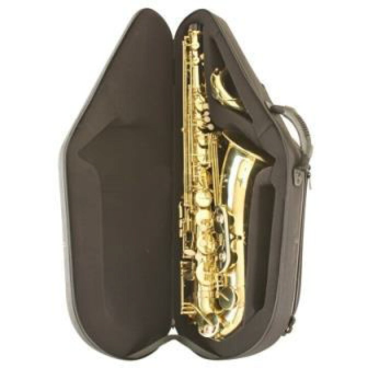 楽天市場】bags バッグス テナーサックス ケース M-RED (メタリック 