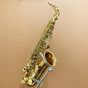 ݌ɗL iMT AgTbNX A-WO2 Yanagisawa [Ǌy]