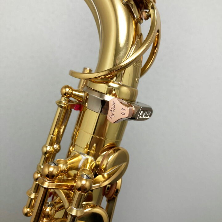 楽天市場】Gottsu Sax Neck Screw ゴッツ サックス ネックスクリュー 
