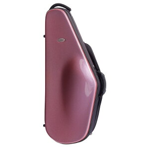 bags obOX ei[TbNX P[X INNO FUCHSIA (Cm tNVA) EFTS
