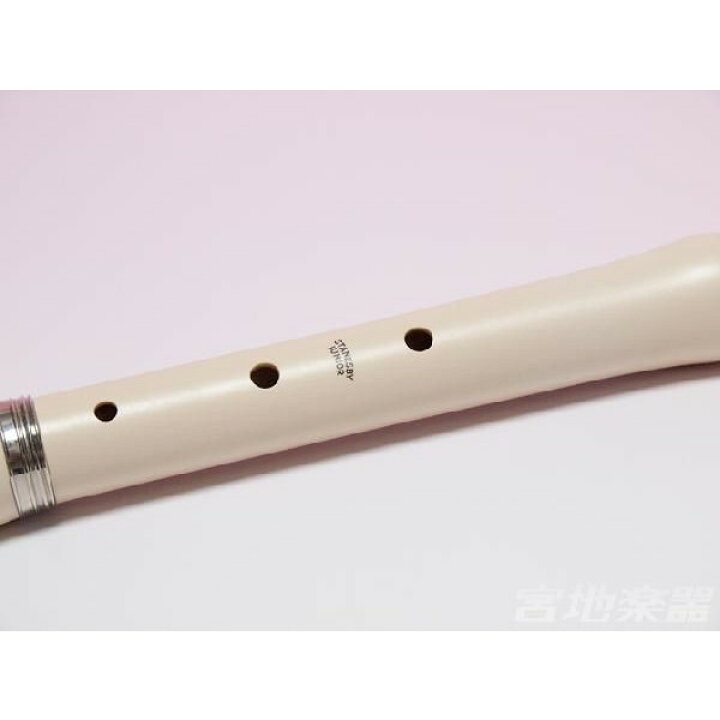 楽天市場】AULOS アウロス トラヴェルソ AF-3 ソフトケース付き 