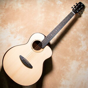 aNueNue/aNN-L200Ey񂹏iz