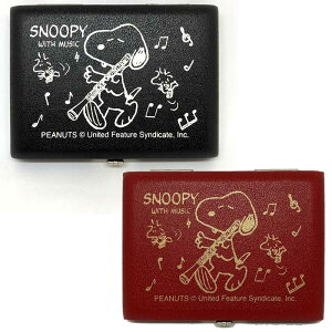 TEEDA eB[_ I[{G [hP[X (5p) Xk[s[