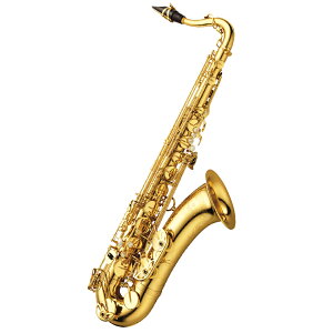 iMT ei[TbNX T-WO10 Yanagisawa [Ǌy]