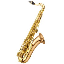 楽天市場】yanagisawa tenor saxophone t－wo2の通販 