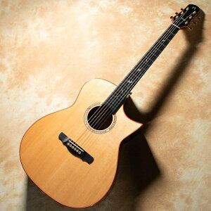 NATASHA/JC-7A w/L.R.Baggs HiFi