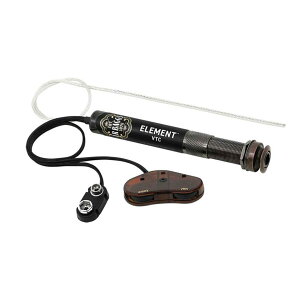 L.R.Baggs/Element VTC