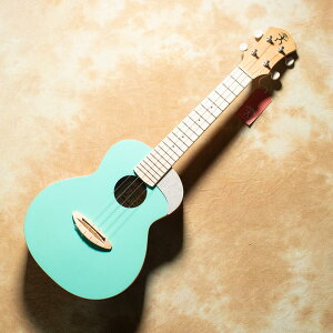 aNueNue/aNN-UC10-IGy񂹏iz