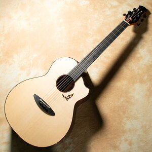 aNueNue/aNN-LS Seiji Igusay񂹏iz