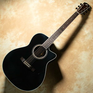 Morris/R-14G Black