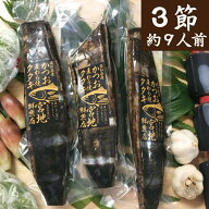 宮地鮮魚店 かつおのタタキ 麦わら焼き 鰹のたたき ご贈答に・パーティーに約9人前（3節〜4節）高知県 佐…