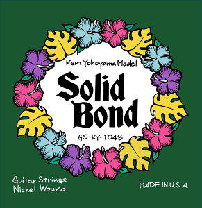 Solid Bond/Ken Yokoyama Signature Strings / GS-KY-1048y񂹏iz