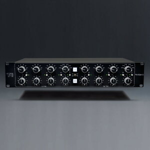 TK AUDIO/TK-lizer2 Toneflake Custom