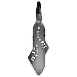 Roland/AE-05 Aerophone GO