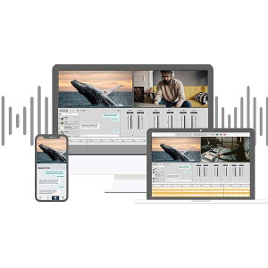 Soundwhale/Soundwhale Level 2 Recording Solution (Perpetual)�y�I�����C���[�i�z