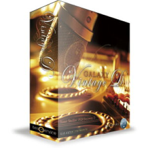 BEST SERVICE/GALAXY VINTAGE D _E[hŁyIC[izy݌ɂz