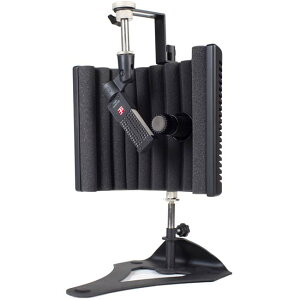 sE Electronics/guitaRF