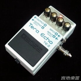 BOSS/TE-2 Tera Echo【お取り寄せ商品】
