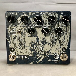 WALRUS AUDIO/DESCENTy񂹏iz