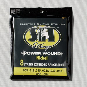 SIT Strings/8-String S8984�y���ב҂��z�yberg ac�z